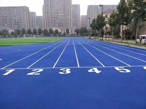 聊城高唐 預制型塑膠球場與跑道卷材的專業(yè)制造與應用