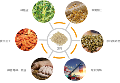 谷實(shí)生物成功完成創(chuàng)業(yè)板上市輔導(dǎo)，2020年?duì)I收突破17億元，糧食加工食品生產(chǎn)領(lǐng)域再添強(qiáng)將